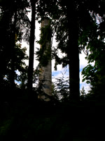 Butchart Gardens, Victoria, B.C.
