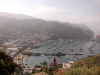 Avalon, Catalina Is.