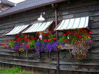 Cafe_Olga, Orcas Is., WA.