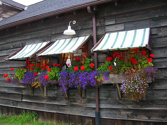 Cafe_Olga, Orcas Is., WA.